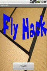 game pic for Fly Hack